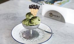 Isırgan otundan yapılan dondurma beğeni topluyor