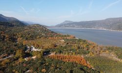 Isparta'da ormanlara giriş yasağı