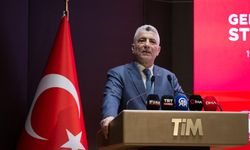 Bolat: İhracatçıya bu yıl 33 milyar liradan fazla hibe desteği verilecek