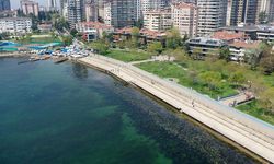 Marmara'da kirliliğe neden olan işletmelere 1 milyar 808 milyon lira ceza kesildi