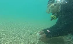 Antalya'da denize atılan Hıdırellez dilekleri görüntülendi