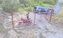 İzmir’de ormanı yakan 5 defineci tutuklandı