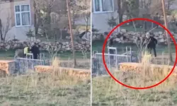 Eşeğe sopalı eziyet kamerada! Başına çuval geçirip dövdü