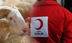Kızılay'ın vekaletle kurban kesiminde 2025 fiyatları belli oldu