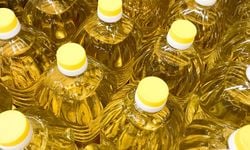 Tarım, gıda ve içecek sektöründen 7,1 milyar dolar ihracat