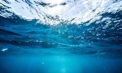 Dünya deniz tabanının sadece binde biri görüntülendi