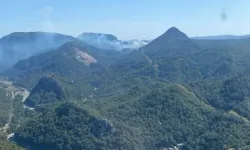 Marmaris'te orman yangını: Müdahale devam ediyor