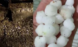Misket büyüklüğündeki dolu, günlük yaşamı felç etti