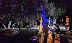 Bağ evinde dehşet! Baltayla katledildi