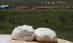Erzincan tulum peyniri AB'de tescillendi