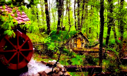 Hafta sonuna doğa molası! Sapanca'da gezilmesi gereken yerler…