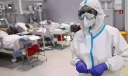 Küresel ısınma, ölümcül mantar hastalığını Avrupa'ya yayabilir