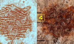 Tarihin en eski parmak izi! Neandertalden bir sanat dokunuşu