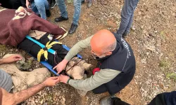 Elazığ'da uçurumdan düşen vatandaşı itfaiye ekipleri kurtardı