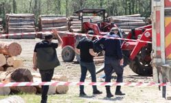 Sakarya'da üzerine tonlarca tomruk devrilen işçi can verdi