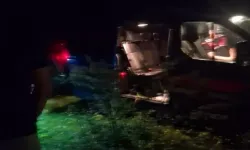 Mantar toplarken arkadaşını yanlışlıkla av tüfeğiyle vurdu!