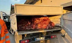 Mide bulandıran görüntü: 3 ton tek tırnaklı eti ele geçirildi