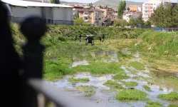 Sivas'ta ölümcül kene vaklarına dronlu önlem