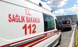 Mantardan zehirlenen 3 çocuk yoğun bakımda