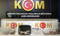 Ankara merkezli operasyonlarda 96 egzotik hayvan ele geçirildi