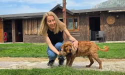 İlginç olay! 3 aydır kayıp köpeğini ağaca bağlı buldu