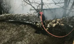 Kütahya'da kümes yangını: 100 tavuk öldü