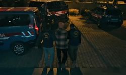 Interpol Kırmızı ve Yeşil bültenle aranan 2 şahıs yakalandı