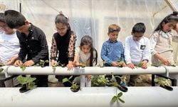 Okul bahçesinde kurulan serada topraksız tarım yöntemlerini öğreniyor