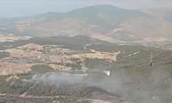 Aliağa'da çıkan orman yangınına ekipler müdahale ediyor