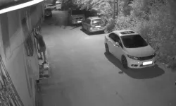Duvara tırmanıp kablo çalan şüpheli tutuklandı