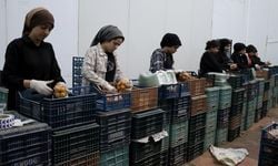 TKDK'den depremzede girişimcilere 200 milyon liralık destek