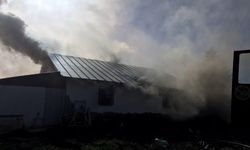 Sakarya'da yayla evinde yangın: 4 kişi dumandan etkilendi