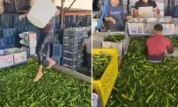 Salatalık havuzunda mide bulandıran görüntü!