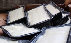 Otobüsle taşınan 700 kilogram peynir imha edildi