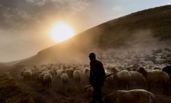 Halk arasında "tozlu yolculuk" deniliyor: Geleneksel göç başladı