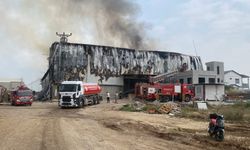 Mersin'de pamuk fabrikasında yangın: Müdahale devam ediyor