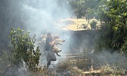 Yangında mahsur kalan köpekler son anda kurtarıldı
