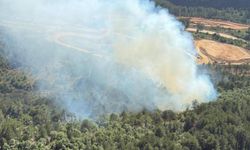 Balıkesir'de çıkan orman yangını kontrol altında