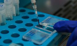 KKKA aşısı için klinik öncesi çalışmalarda sona gelindi