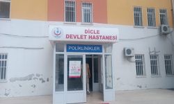 Diyarbakır’da yılanın ısırdığı çoban hayatını kaybetti