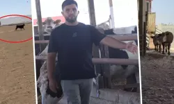 Yurt dışından getirdi, araçtan indirirken elinden kaçırdı