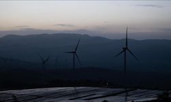 Dünya şehirleri temiz hava ve yeşil istihdam için harekete geçti