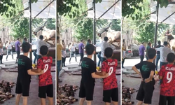 Kurbanlık boğa kasaba hayatının şokunu yaşattı