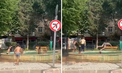 Havalar ısındı, çocuklar süs havuzuna akın etti