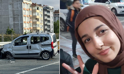 Ayşe ve Muhammet'in öldüğü kazada kahreden arı ayrıntısı