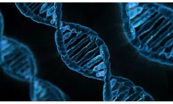 DNA verileri satılıyor... İhalesi yapıldı