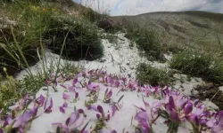 Haziran'da kar sürprizi! Dağın etekleri bembeyaz oldu