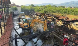 Sakarya'da bayrama iki gün kala kahreden yangın