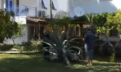 Antalya'da yılda bir kez çiçek açan Agave ağacı bulundu