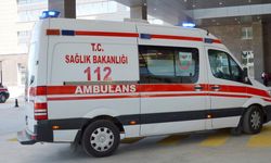 Adıyaman'da yolda yürüyen kişiye köpek saldırdı